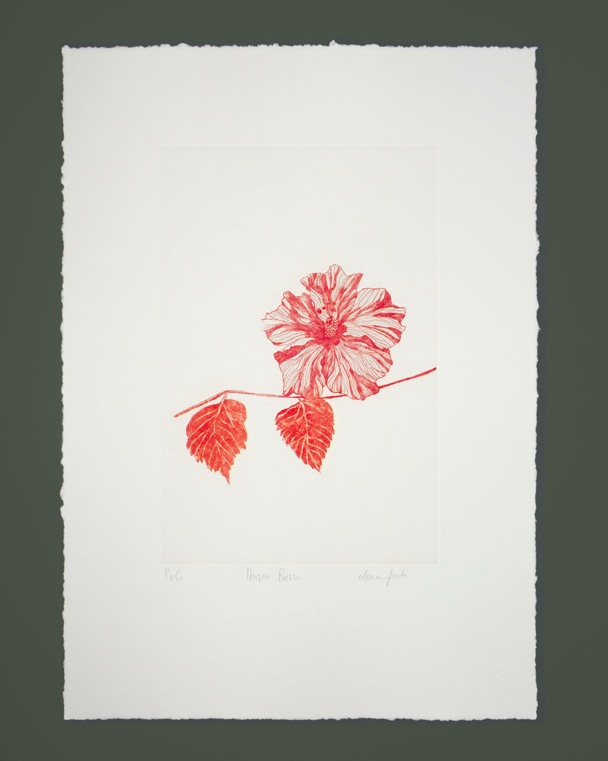 Ibisco Rosso