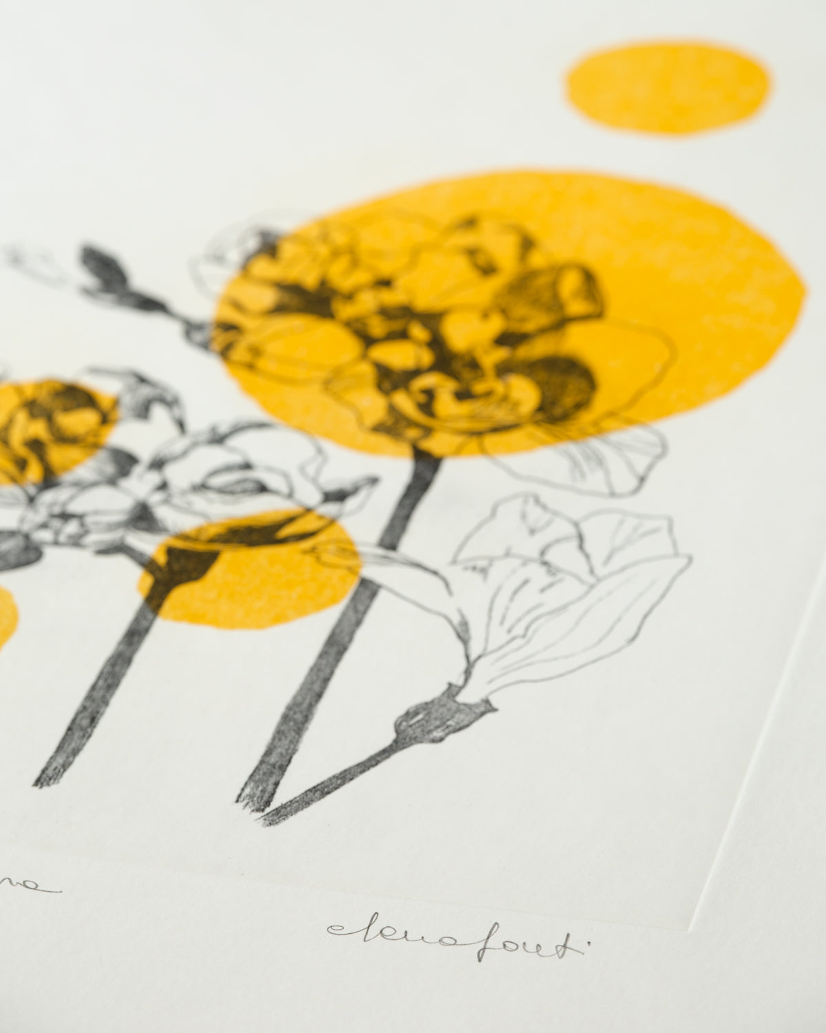 Flora Colors - Freesia