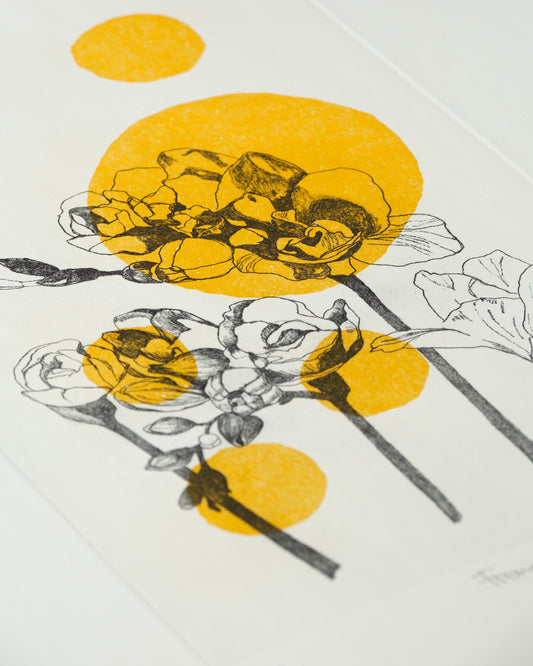 Flora Colors - Freesia