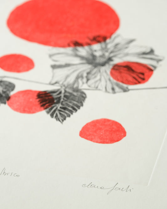 Flora Colors - Hibiscus