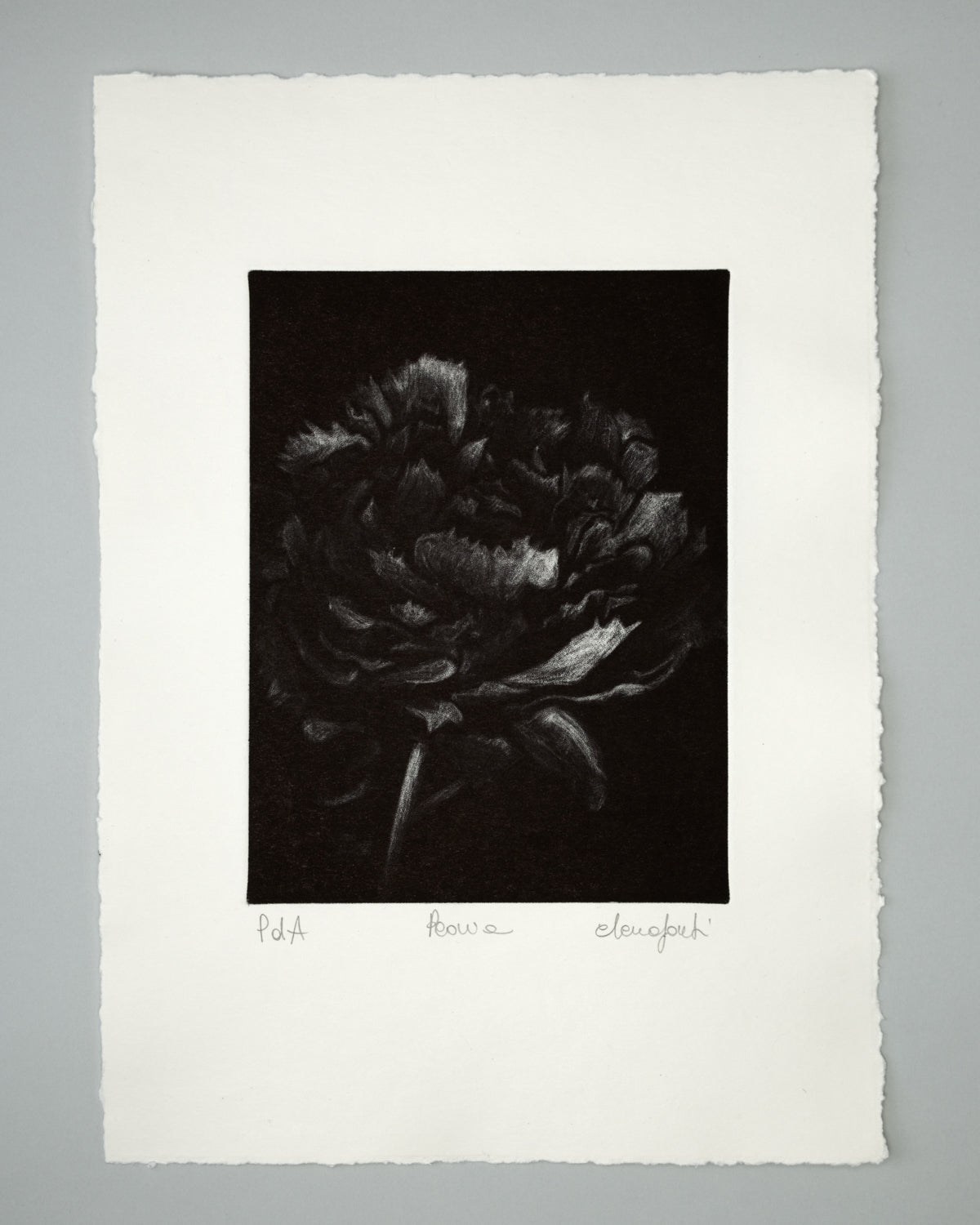Peonia Black