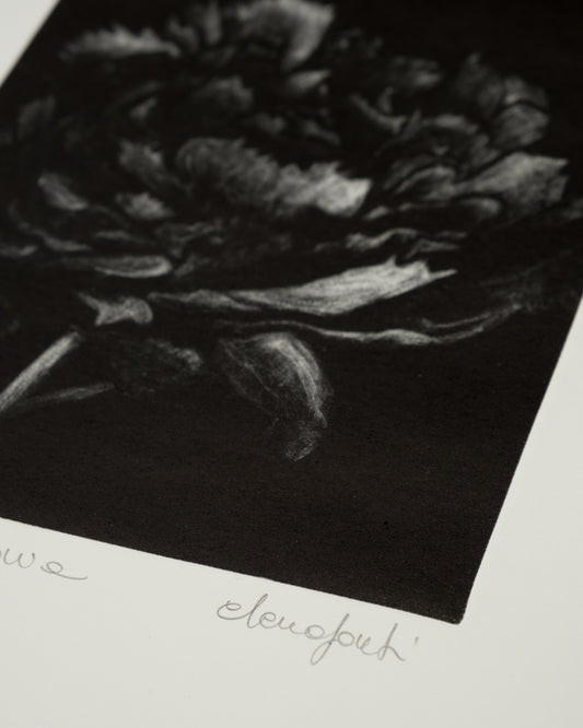Peony Black