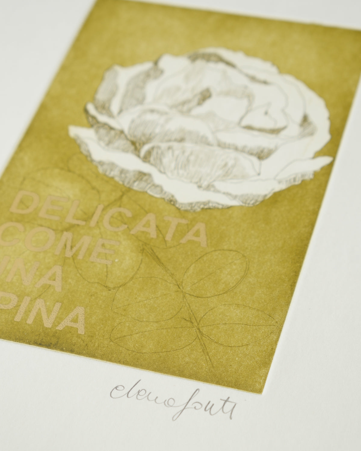Delicata come una Spina