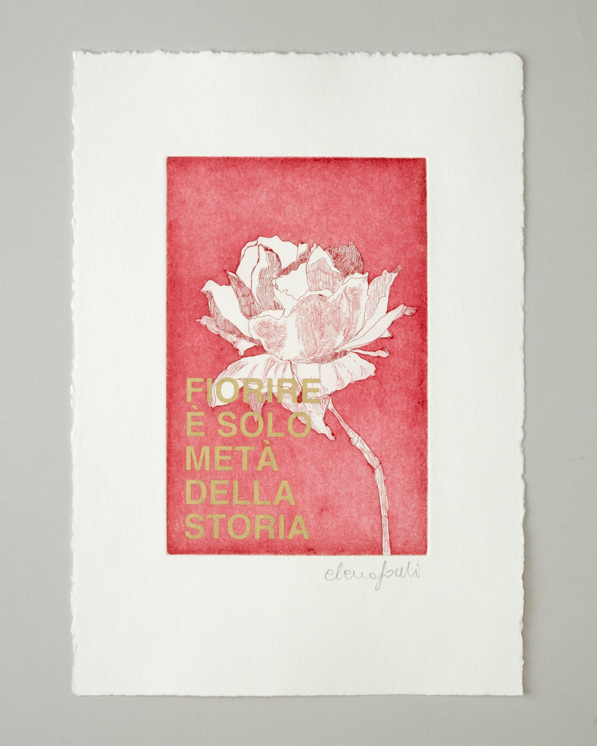 Fiorire è solo meta della storia