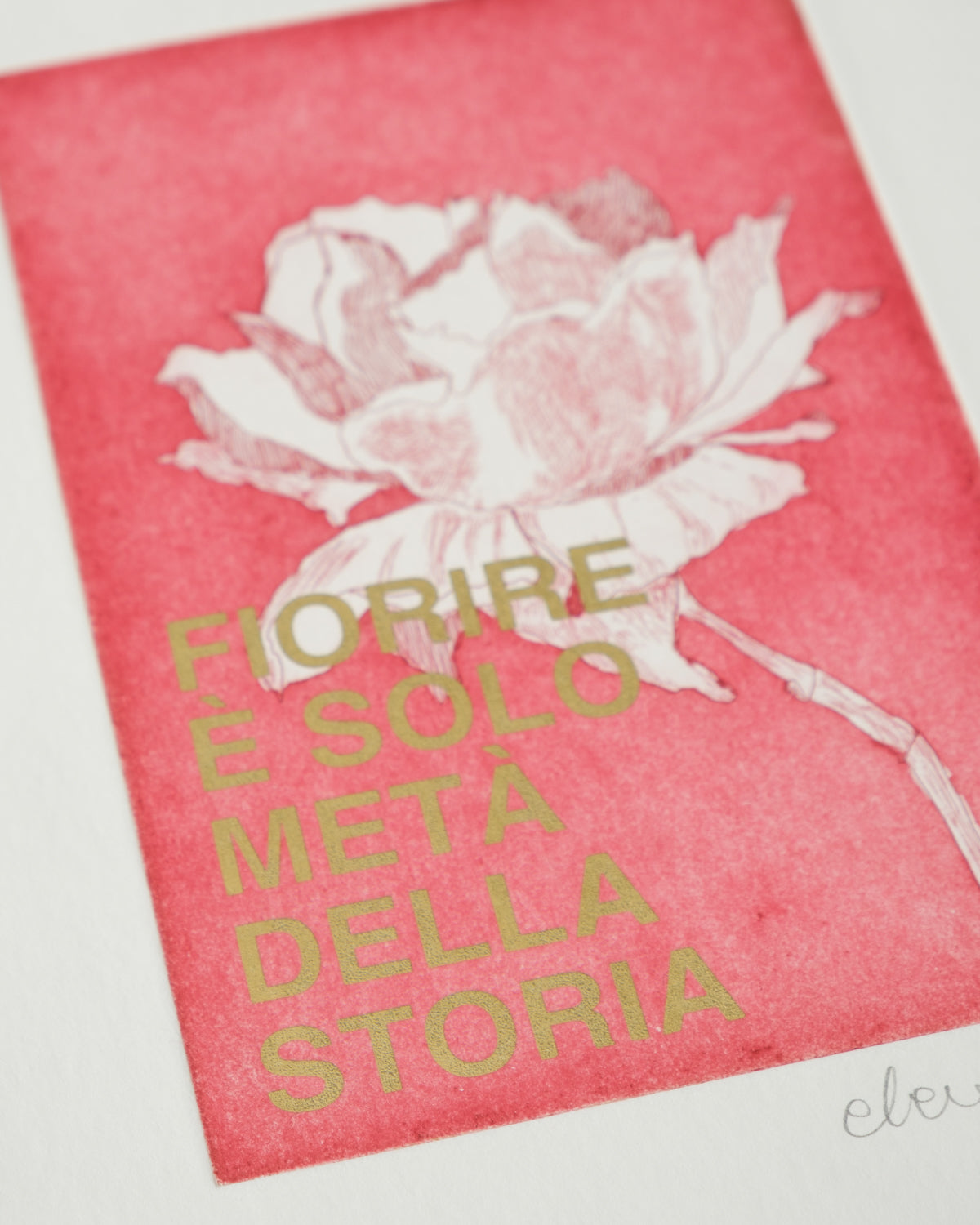 Fiorire è solo meta della storia
