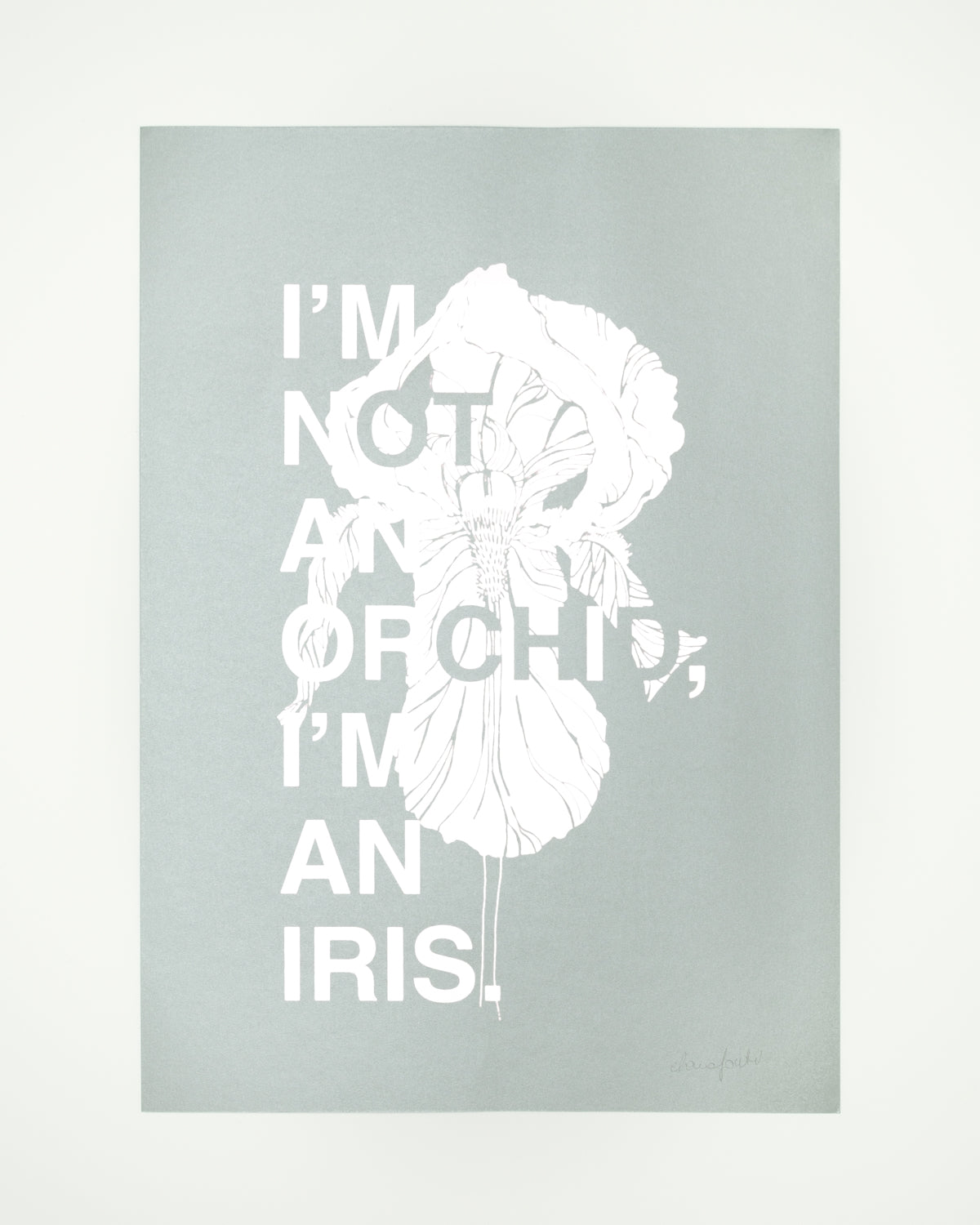 I'm not an Orchid I'm an Iris / Bianco&Grigio