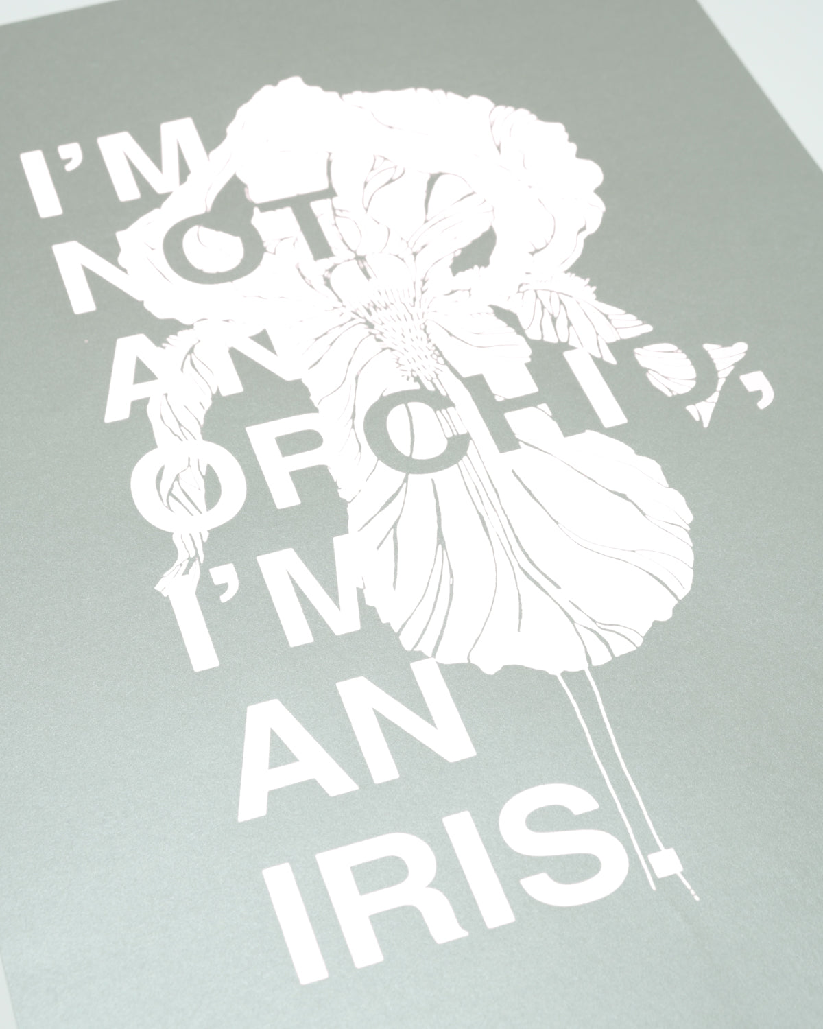 I'm not an Orchid I'm an Iris / Bianco&Grigio