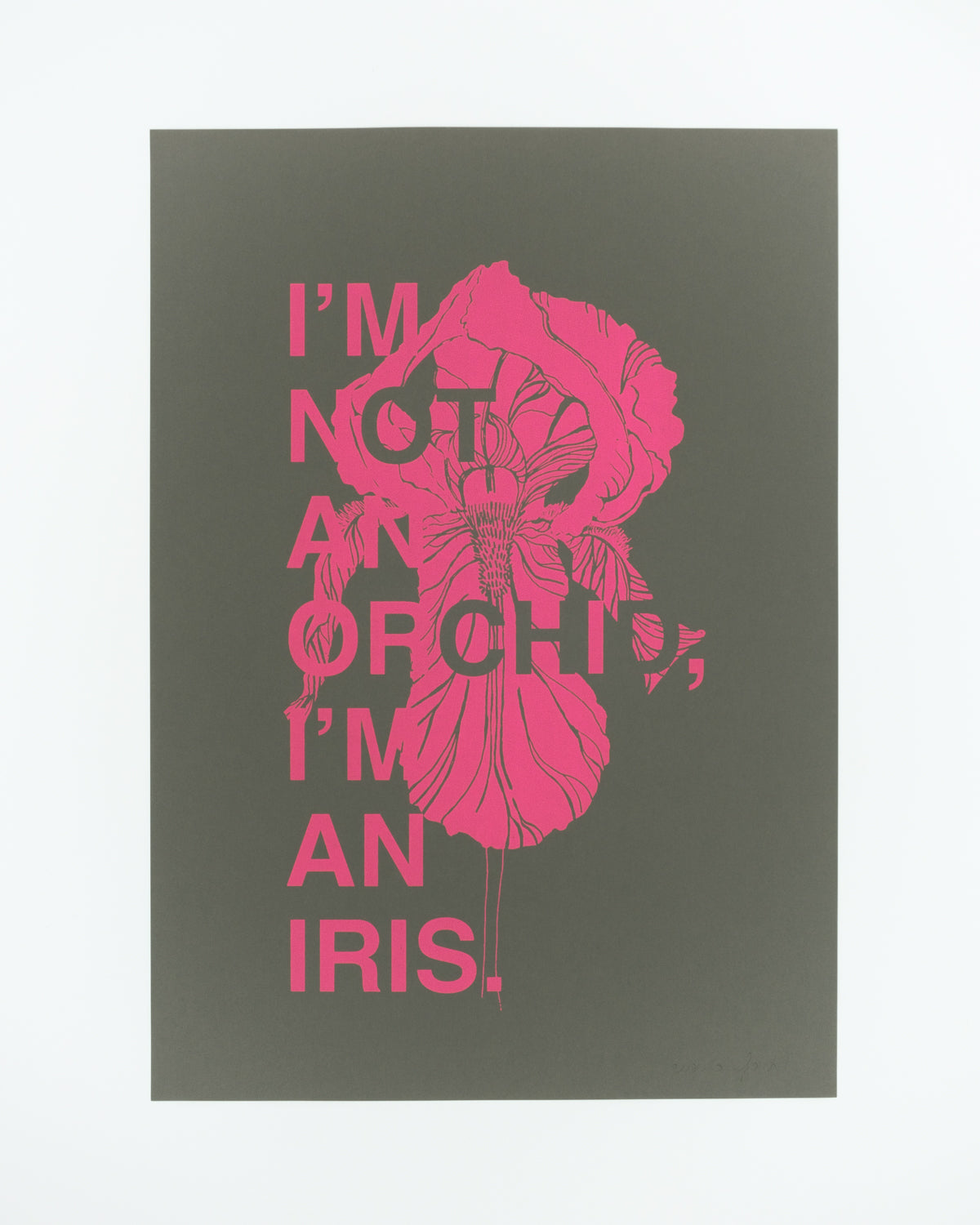 I'm not an Orchid I'm an Iris / Neon Pink&Antracite