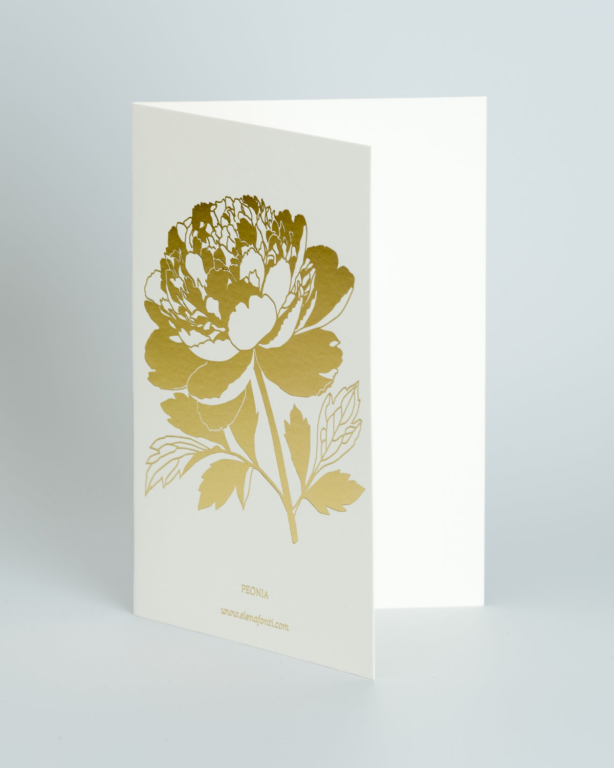 Peonia Gold