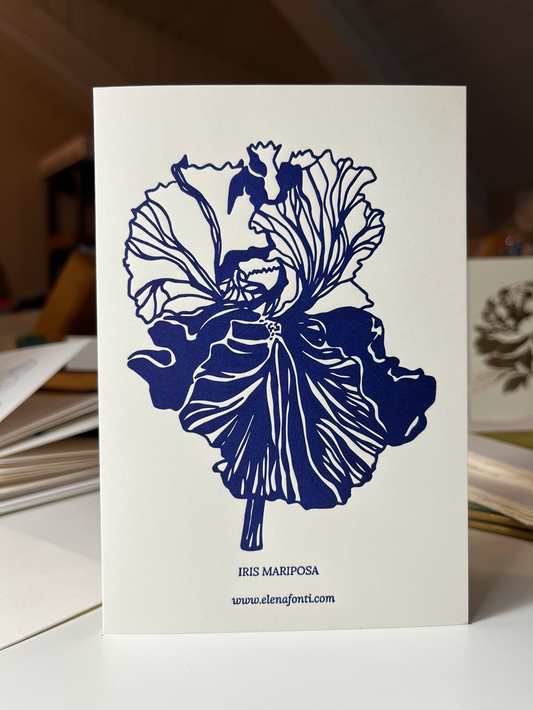 Iris Mariposa Skies Letterpress