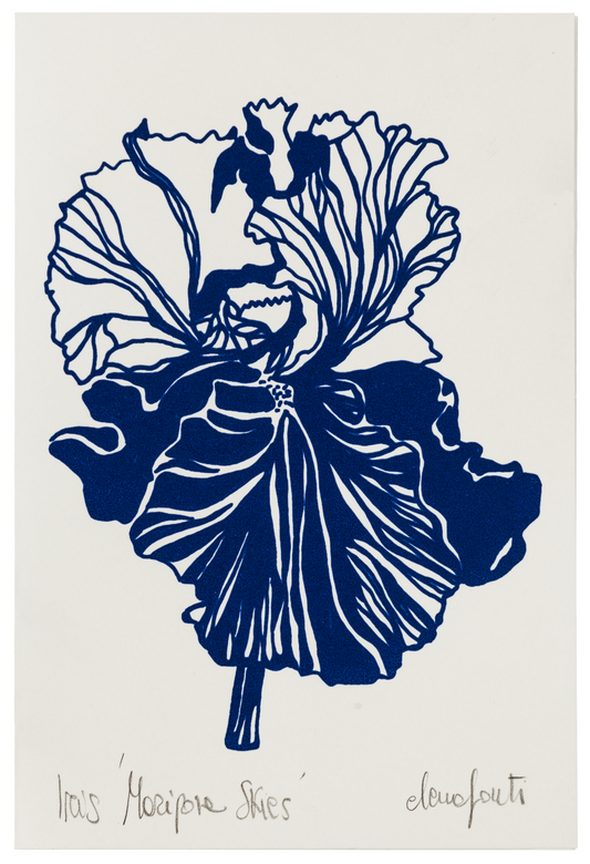 Iris Mariposa Skies Blue