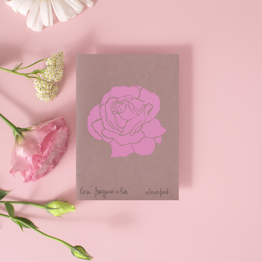  Rosa Ingrid Bergman on Pink