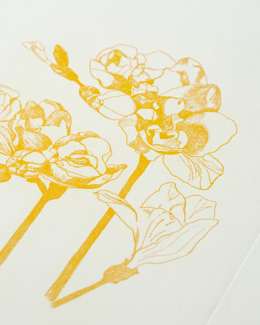 Yellow Fresia