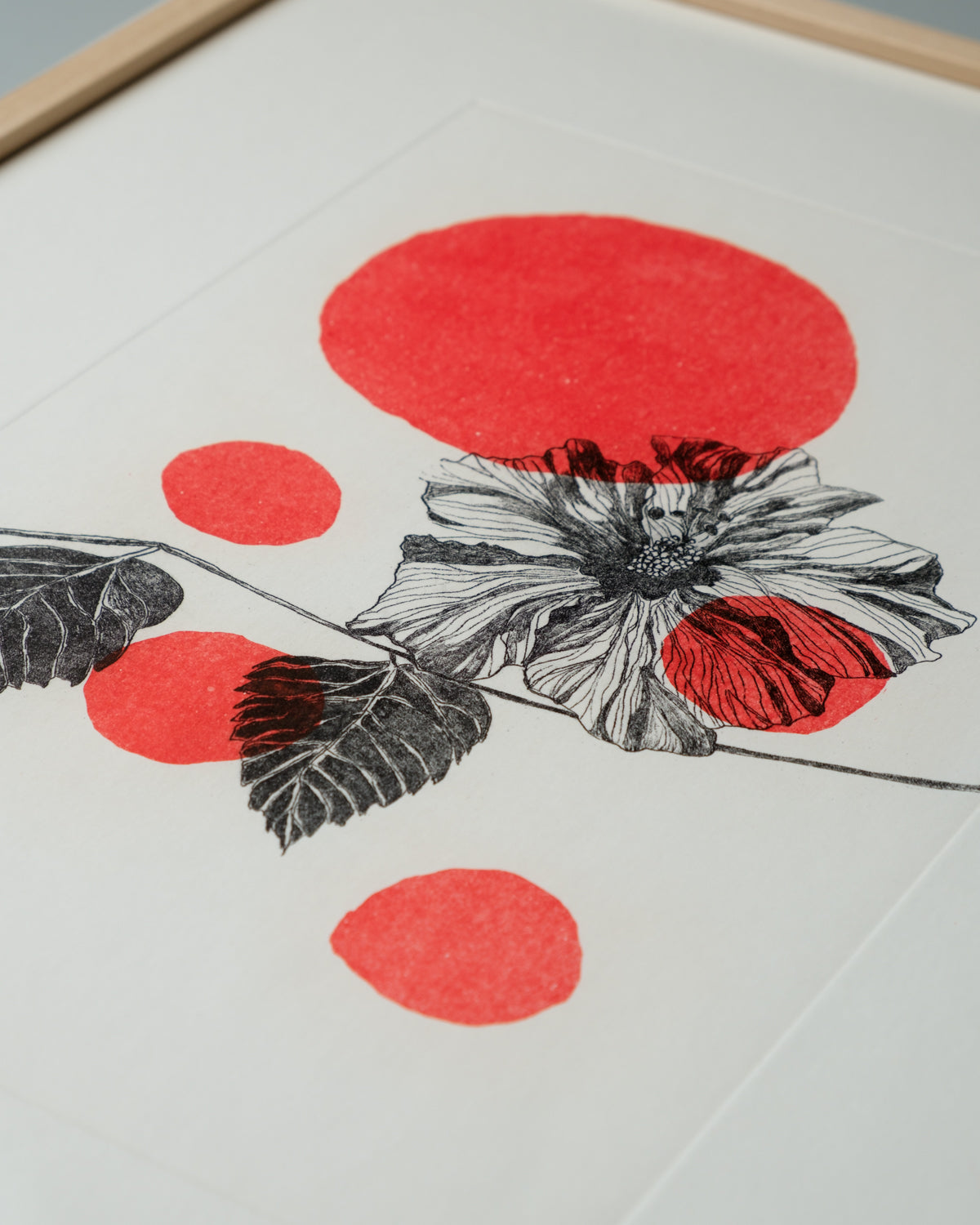 Flora Colors - Hibiscus